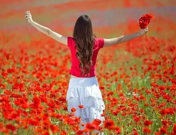 如何不努力就获得成功?