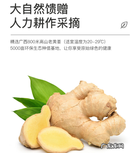 孕婴专卖店有哪些 索肤蔻生姜洗发水好不好用