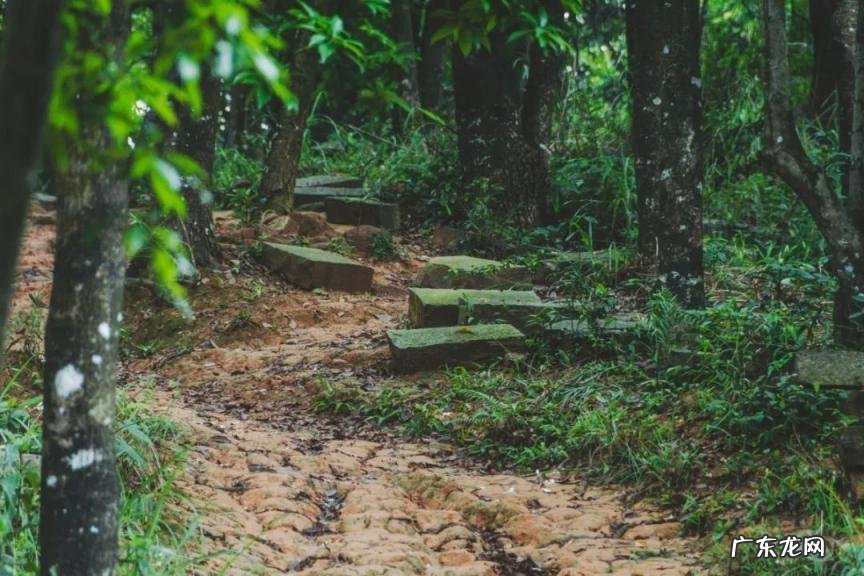 深圳哪些好玩的地方免费 深圳有哪个好玩的地方