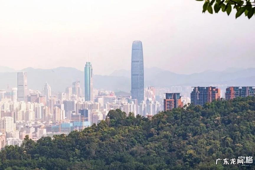 深圳哪些好玩的地方免费 深圳有哪个好玩的地方