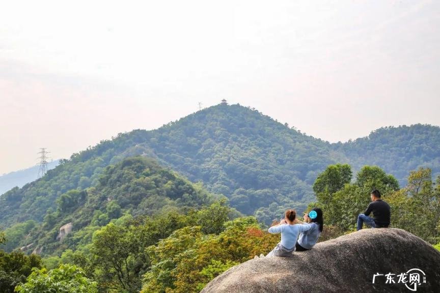 深圳哪些好玩的地方免费 深圳有哪个好玩的地方