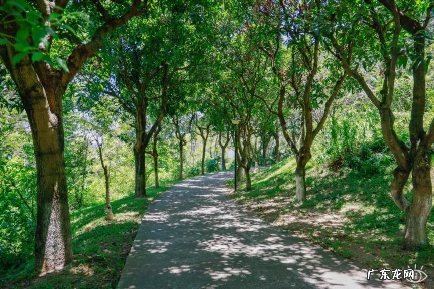 深圳哪些好玩的地方免费 深圳有哪个好玩的地方