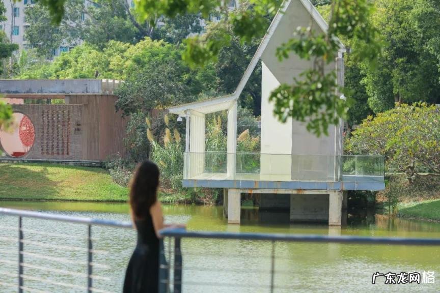 深圳哪些好玩的地方免费 深圳有哪个好玩的地方