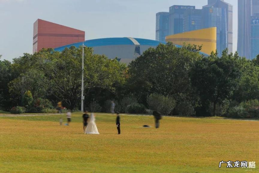 深圳哪些好玩的地方免费 深圳有哪个好玩的地方