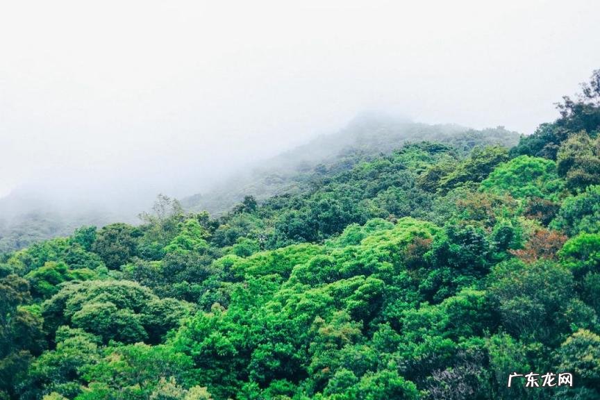 深圳哪些好玩的地方免费 深圳有哪个好玩的地方