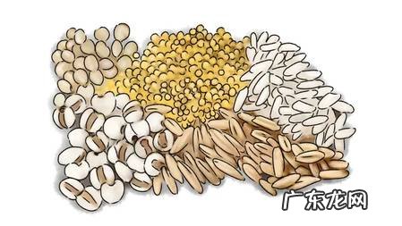 吃好主食,养好脾胃,排便更顺畅