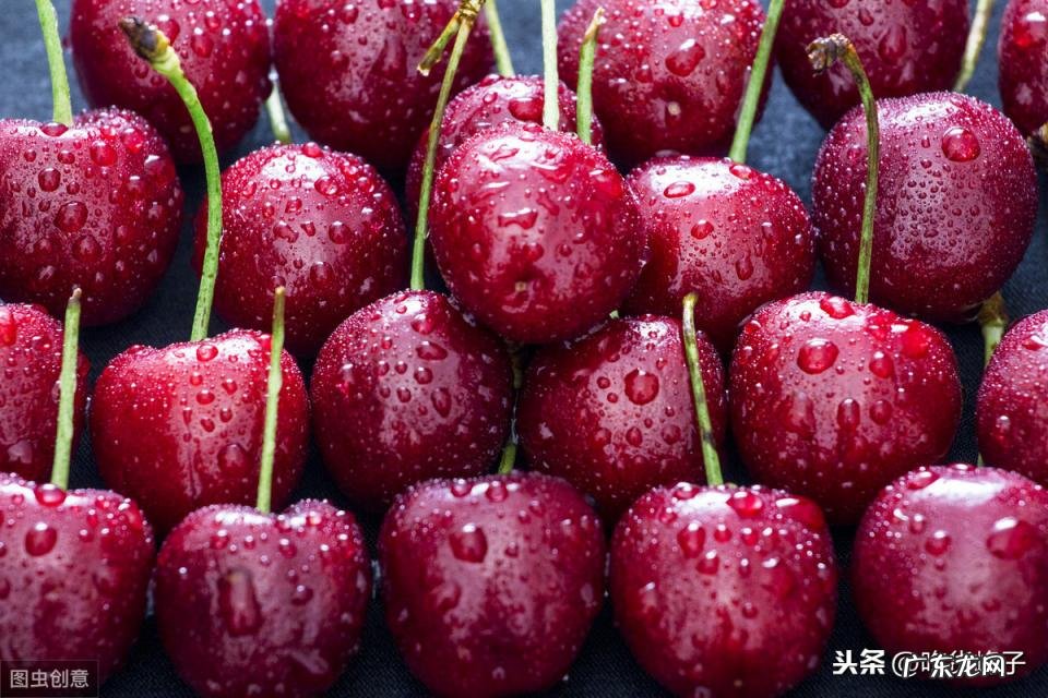 车厘子和樱桃的区别详细介绍一下 车厘子与樱桃的区别图