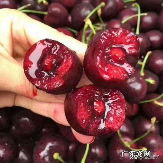 车厘子和樱桃的区别详细介绍一下 车厘子与樱桃的区别图