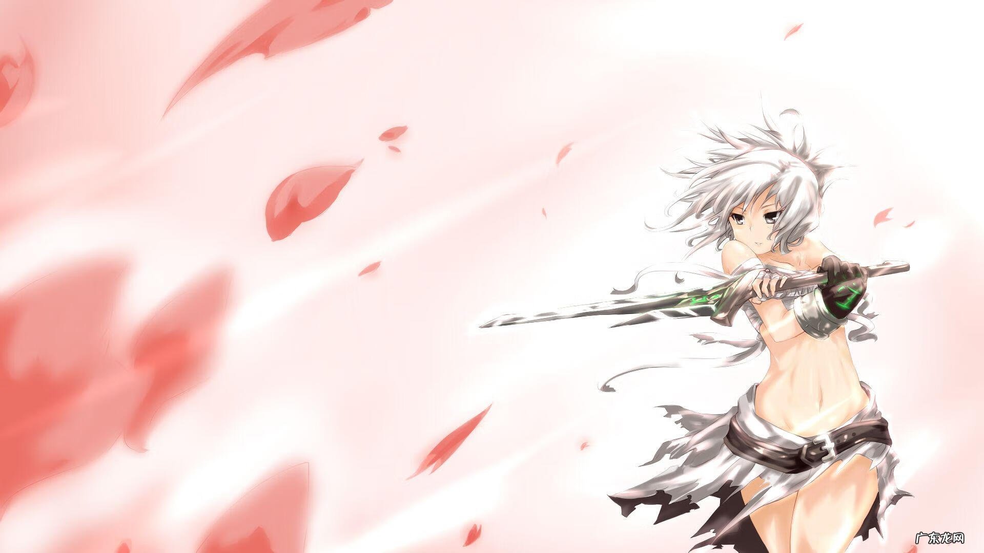 光速QA视频讲解 光速qa教程