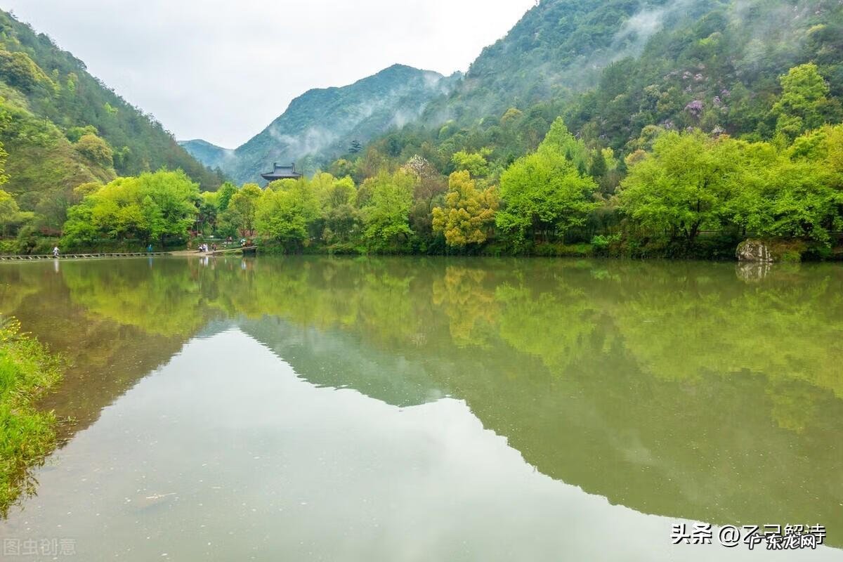 浮天水送无穷树 浮天水送无穷树的下一句是什么?