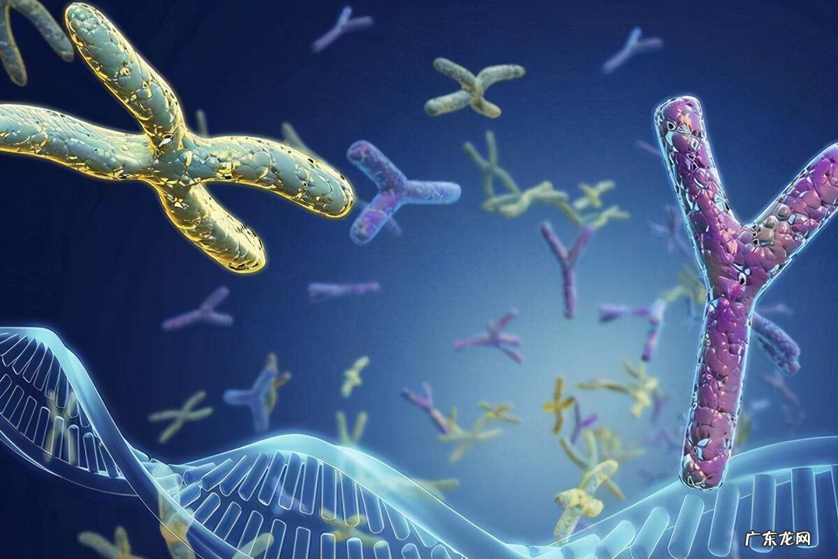 自然妊娠生化的原因 怀孕生化的原因是什么