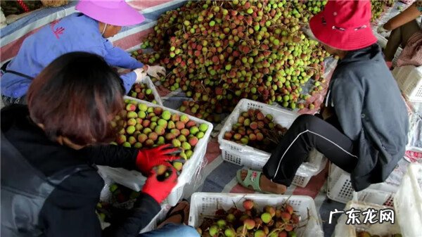 云南省红河州石屏县邮编 云南红河屏边白河镇风水宝地