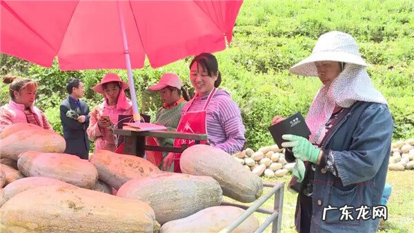 云南省红河州石屏县邮编 云南红河屏边白河镇风水宝地