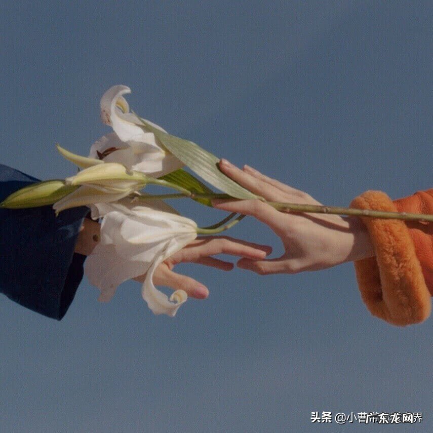 你知道什么是喜欢吗？那是什么感觉？