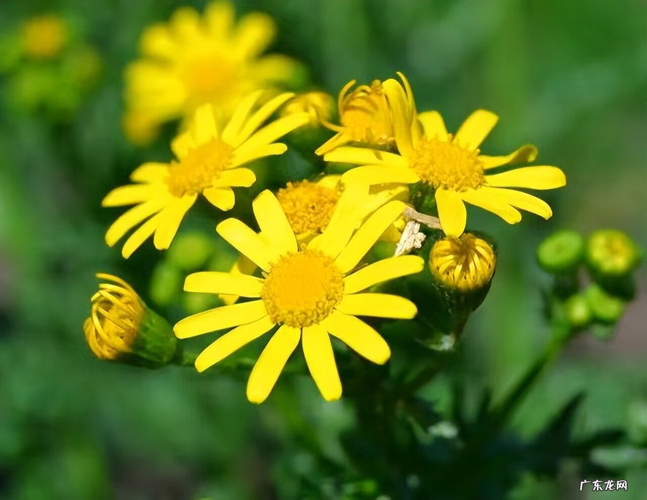 我想分手怎么开口 怎样分手才能分得彻底