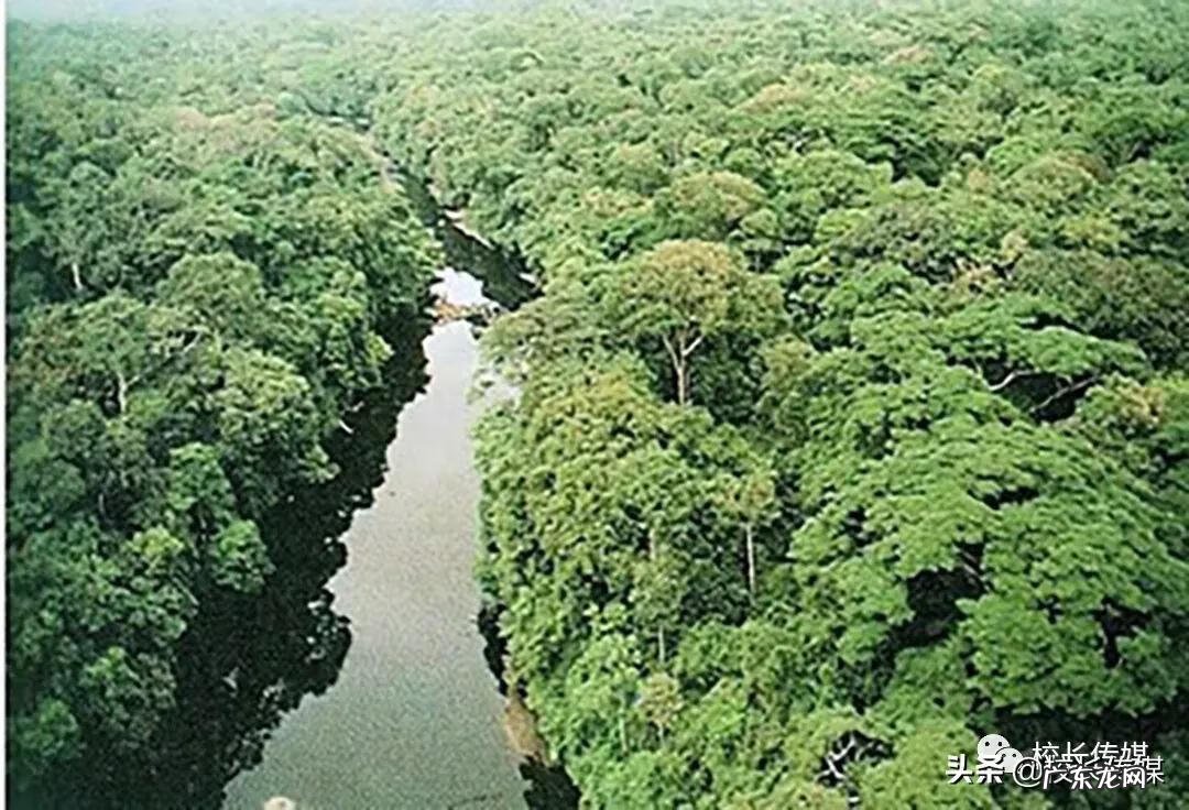 明日之后奇遇任务 林中奇遇任务