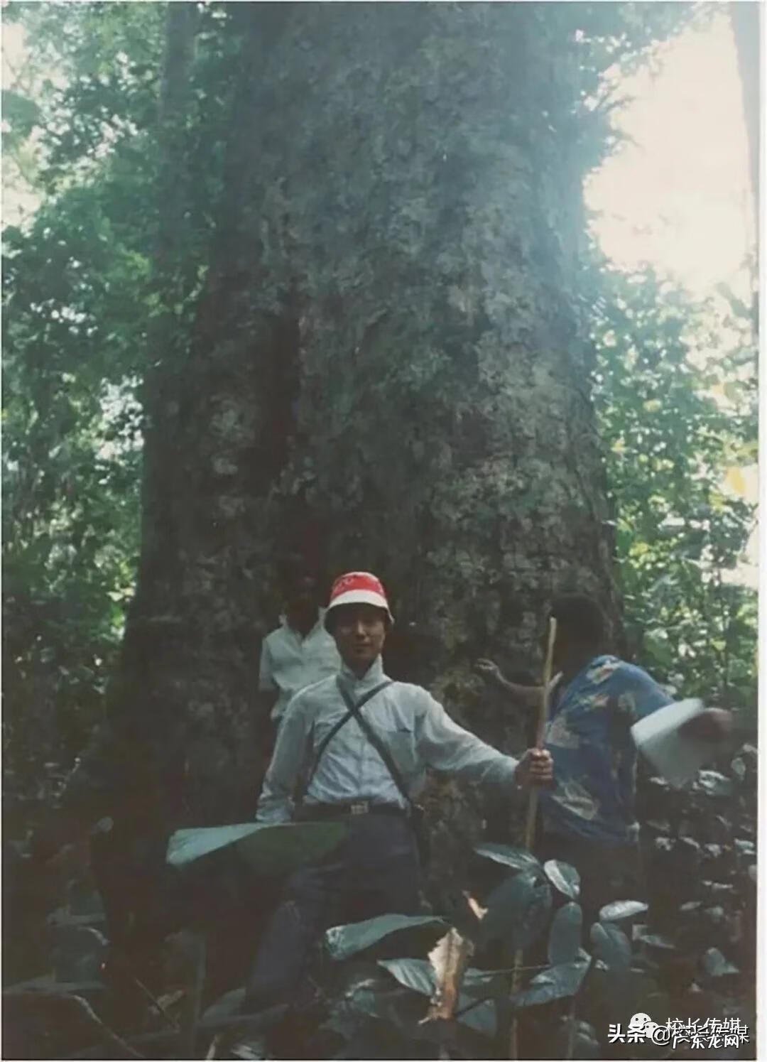 明日之后奇遇任务 林中奇遇任务