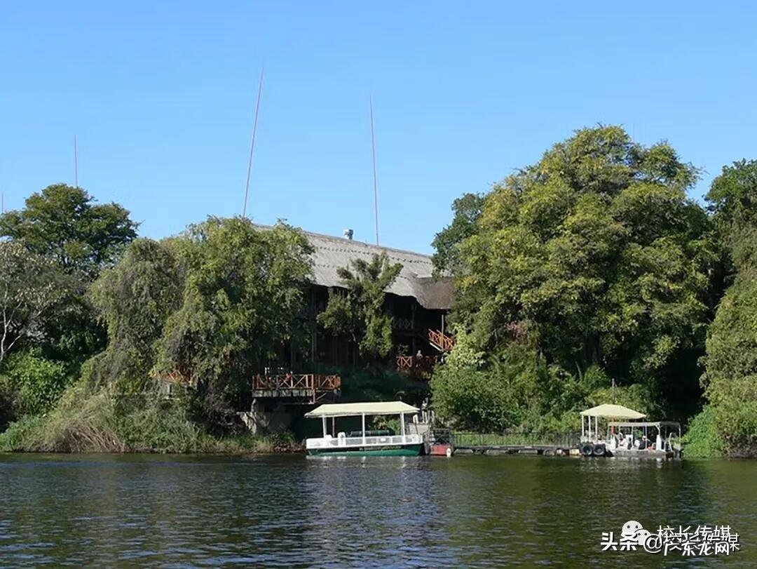 明日之后奇遇任务 林中奇遇任务