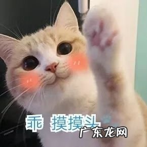 淘宝上的东西是正品吗? 淘宝旗舰店是正品吗?