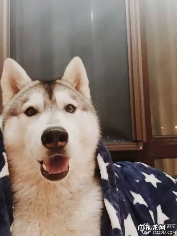 福来恩是哪个厂家 福来恩真假辨别