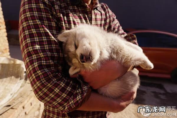 福来恩是哪个厂家 福来恩真假辨别