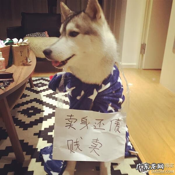 福来恩是哪个厂家 福来恩真假辨别