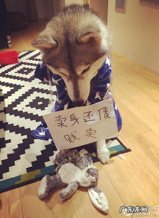 福来恩是哪个厂家 福来恩真假辨别