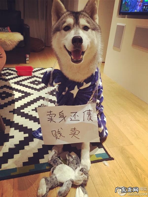 福来恩是哪个厂家 福来恩真假辨别