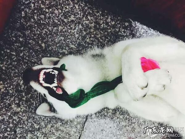 福来恩是哪个厂家 福来恩真假辨别