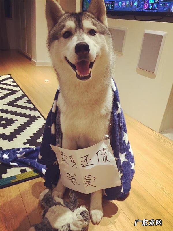 福来恩是哪个厂家 福来恩真假辨别