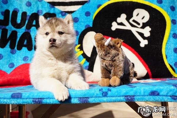 福来恩是哪个厂家 福来恩真假辨别