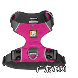 福来恩是哪个厂家 福来恩真假辨别