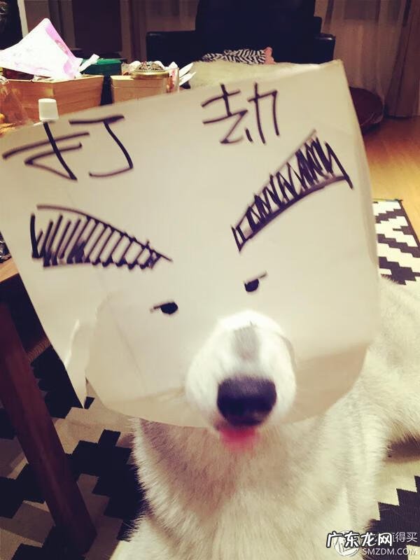 福来恩是哪个厂家 福来恩真假辨别