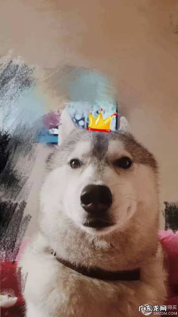 福来恩是哪个厂家 福来恩真假辨别