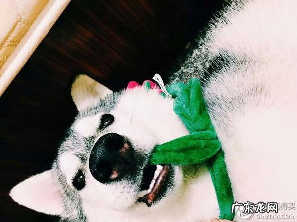 福来恩是哪个厂家 福来恩真假辨别