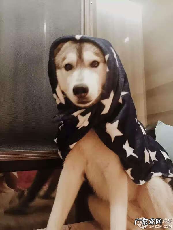 福来恩是哪个厂家 福来恩真假辨别