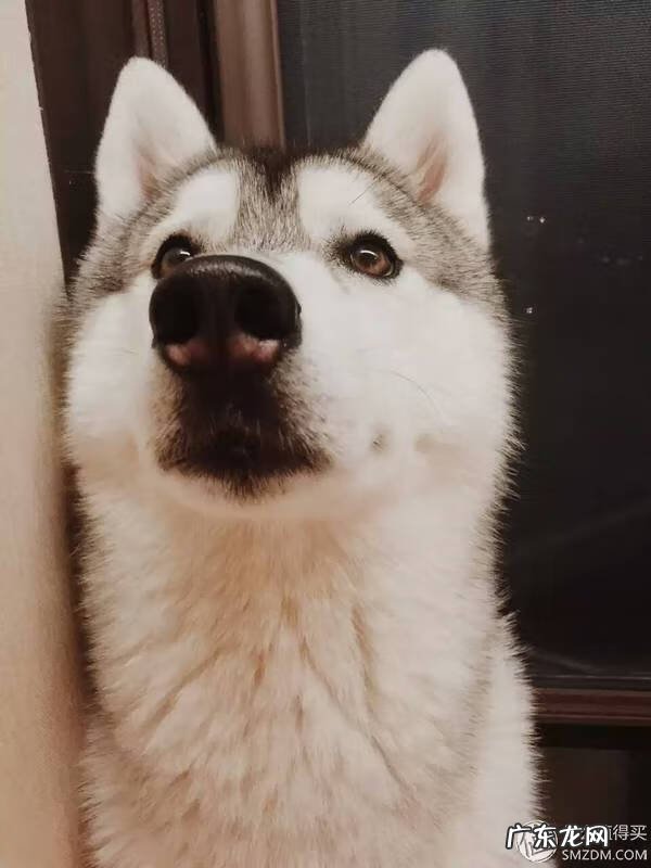 福来恩是哪个厂家 福来恩真假辨别