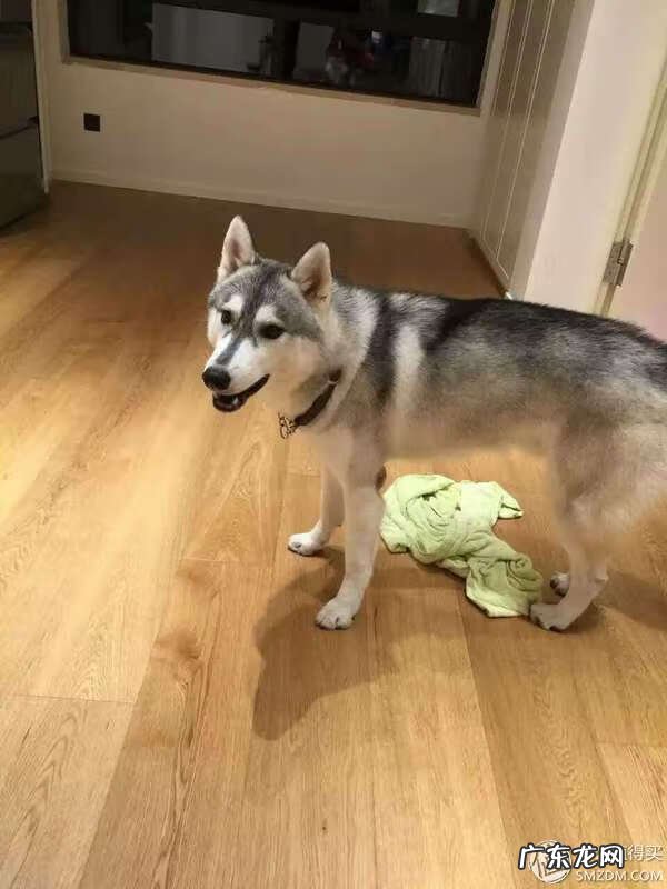 福来恩是哪个厂家 福来恩真假辨别