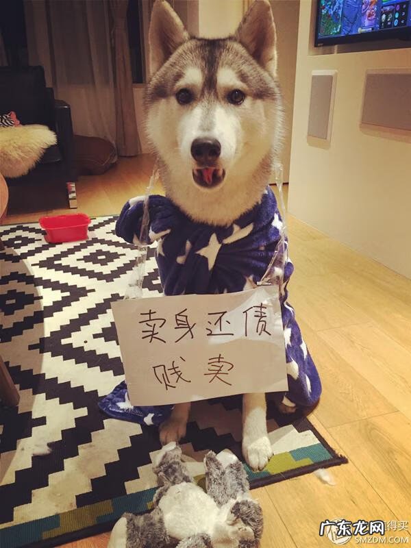 福来恩是哪个厂家 福来恩真假辨别