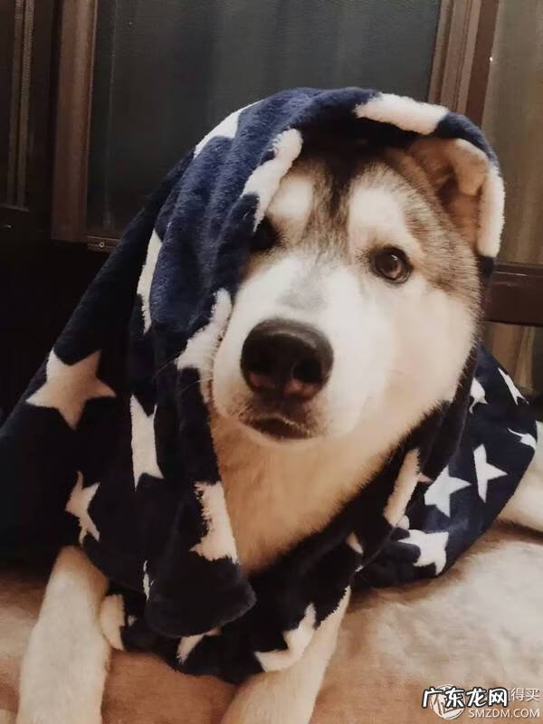 福来恩是哪个厂家 福来恩真假辨别