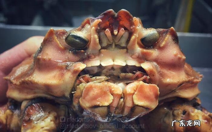 海鱼包括哪些鱼 海里的鱼有多少种