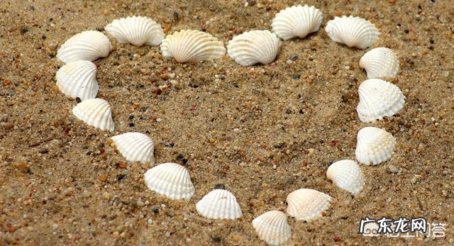 如何提高孩子的情商？