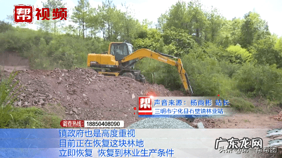 林地风水下葬方向 坟墓建在林地怎么处理