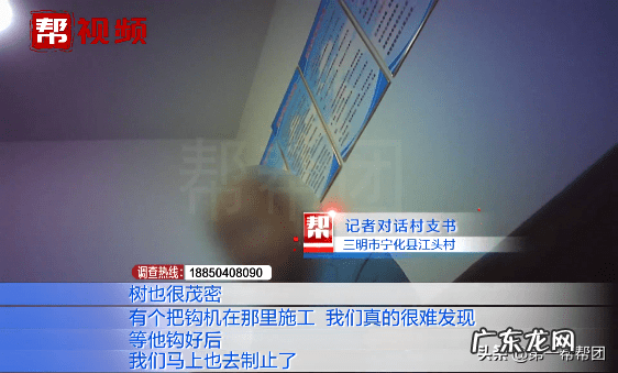 林地风水下葬方向 坟墓建在林地怎么处理