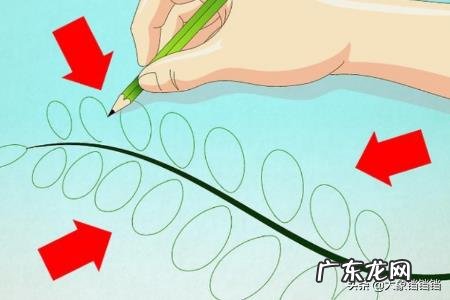 如何画树叶?