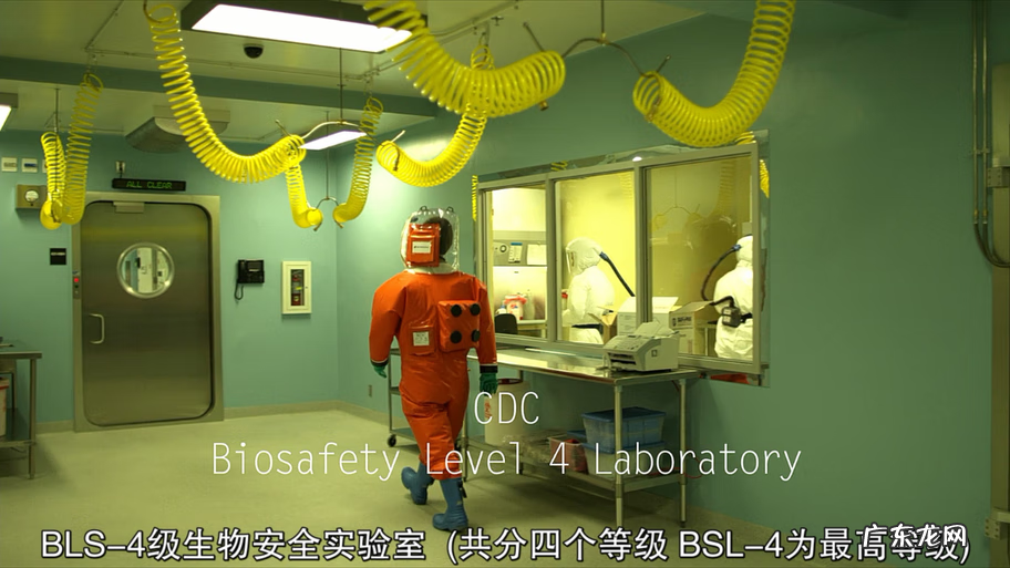 僵尸特攻队哪个版本能玩 活尸特攻队