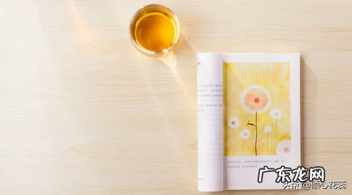 小学语文教学目标如何确立？