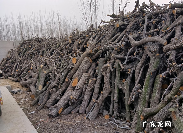 办个什么小型加工厂赚钱 现在开个什么加工厂比较好