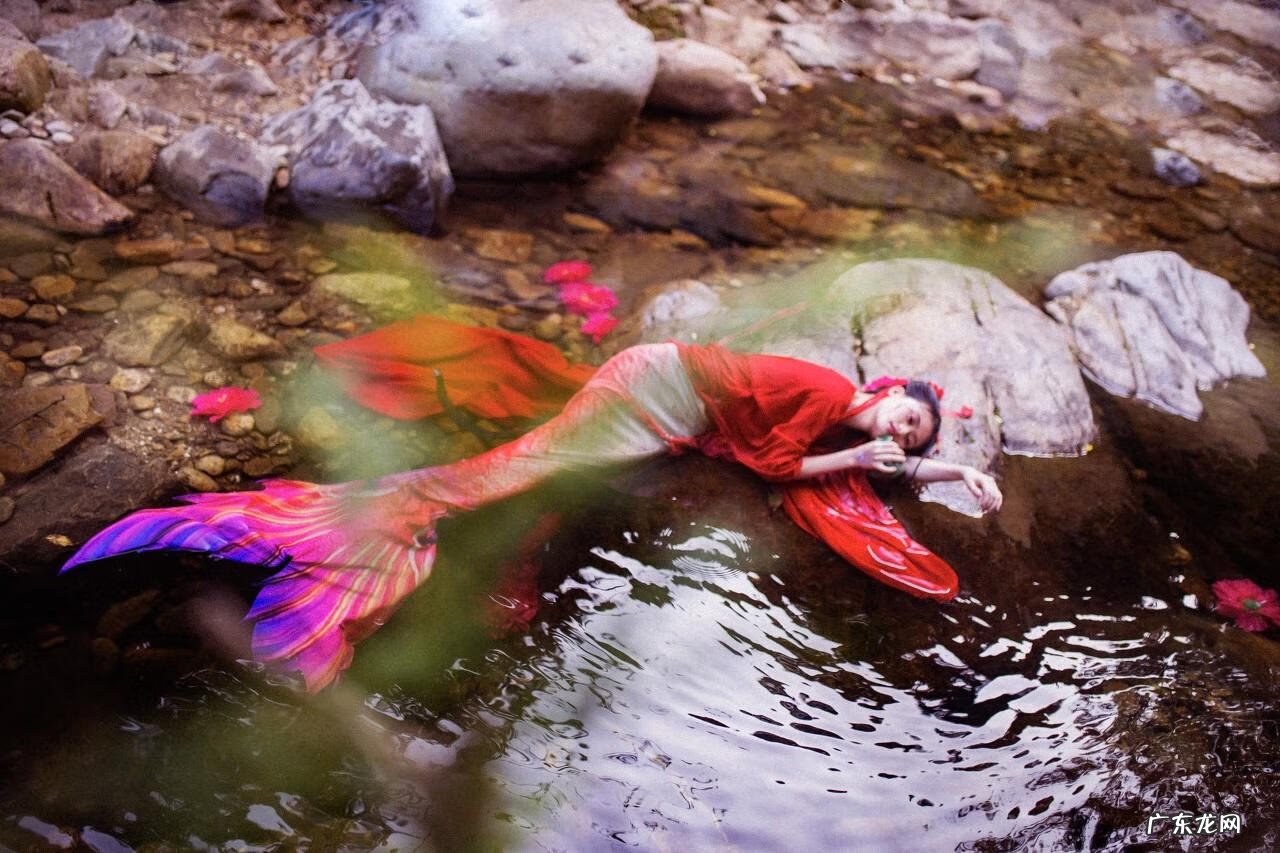 混沌神魔体萧云陆离是哪部小说 萧云混沌神魔体小说叫什么名字签到