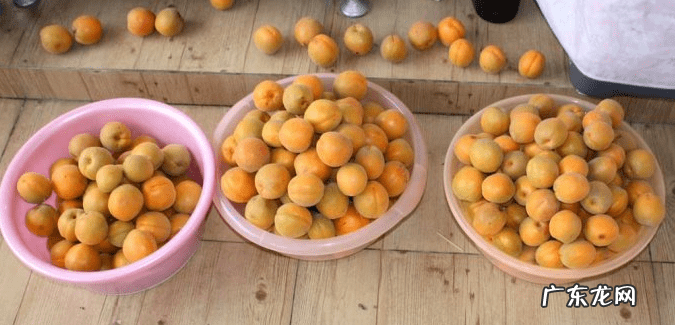 杏子对身体的副作用 杏子是热性还是凉性的?